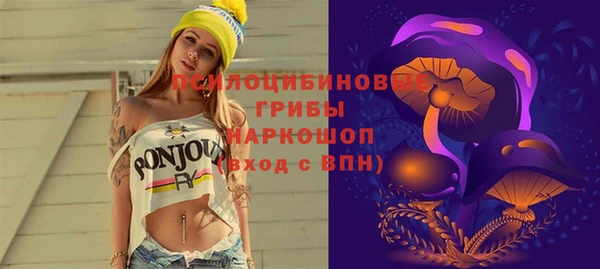 2c-b Красноперекопск