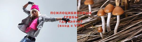 прущая мука Краснослободск