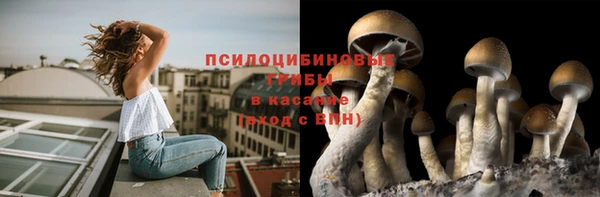 spice Краснотурьинск