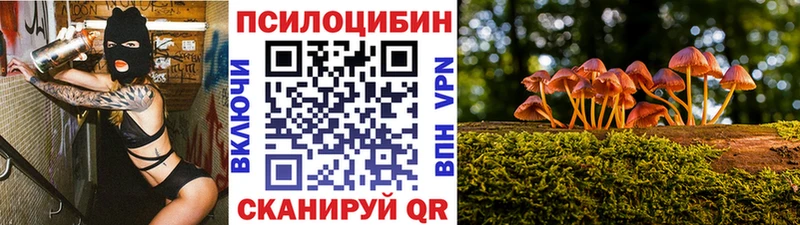 ОМГ ОМГ рабочий сайт  Михайловка  Галлюциногенные грибы Psilocybine cubensis  купить наркотик 